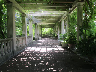 Pergola where David proposed